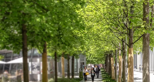 Ons ESG-engagement